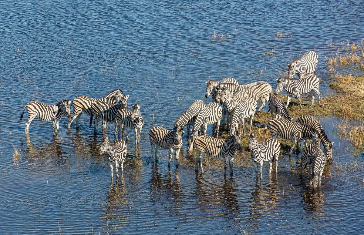 Destinazione Botswana