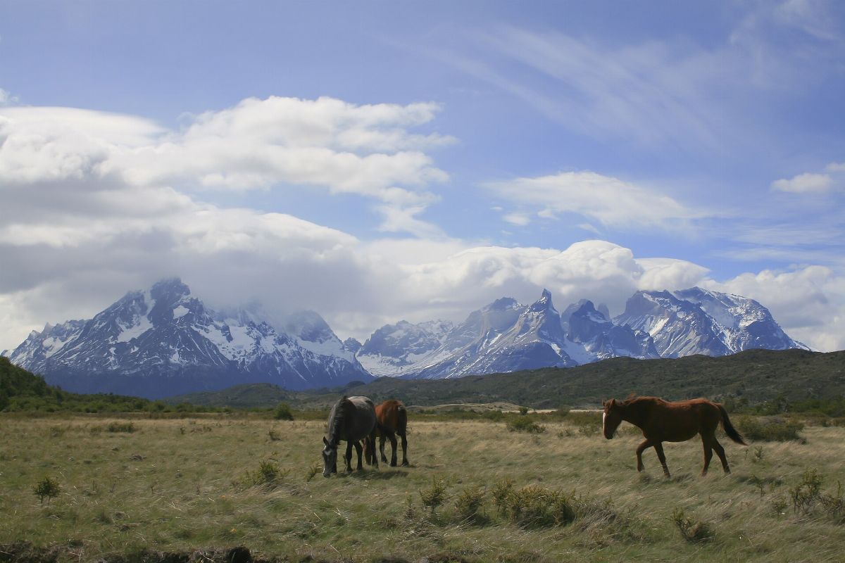 Cíl cesty: Chile
