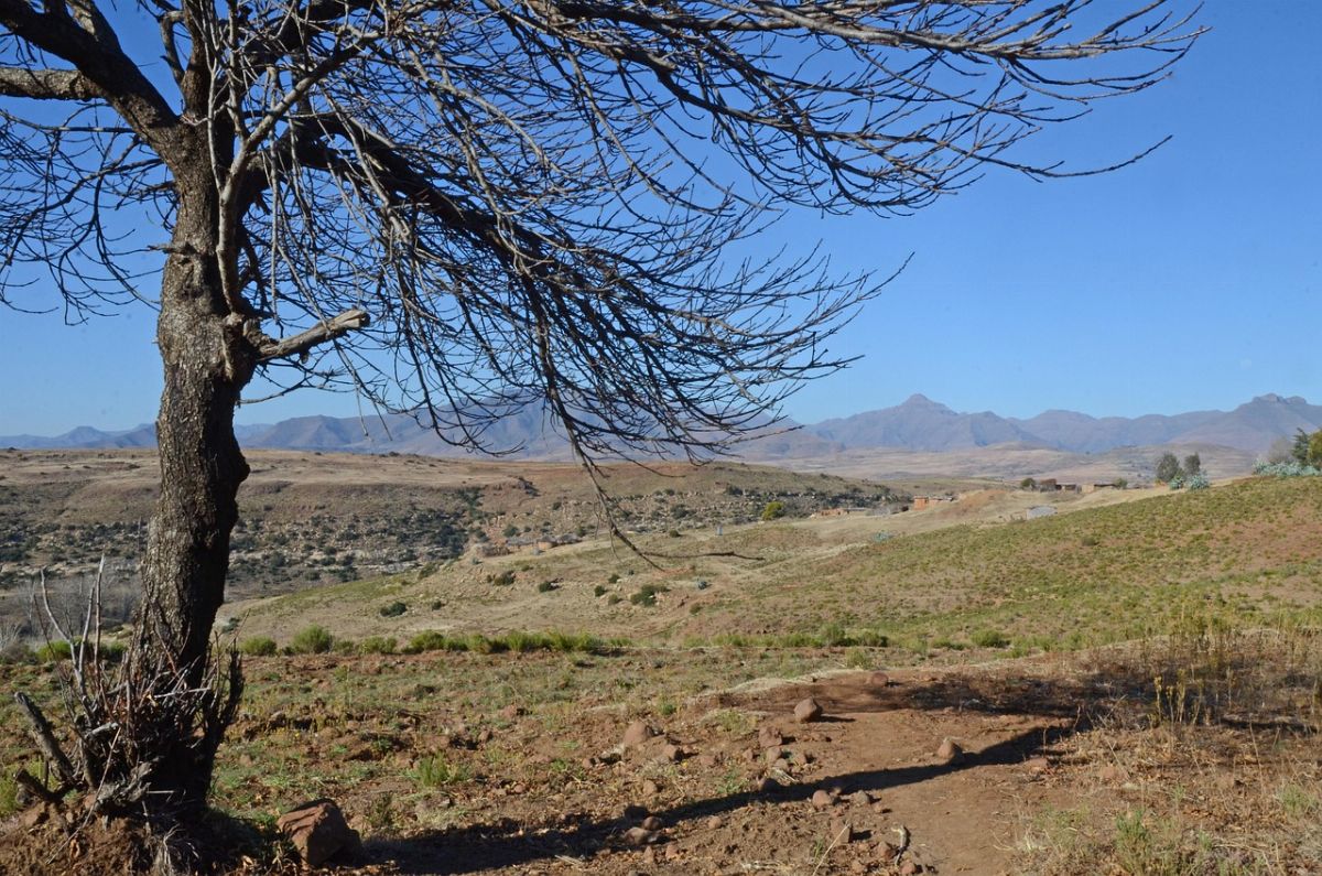 landscape, tree, nature, scenery, scenic, lesotho, malealea