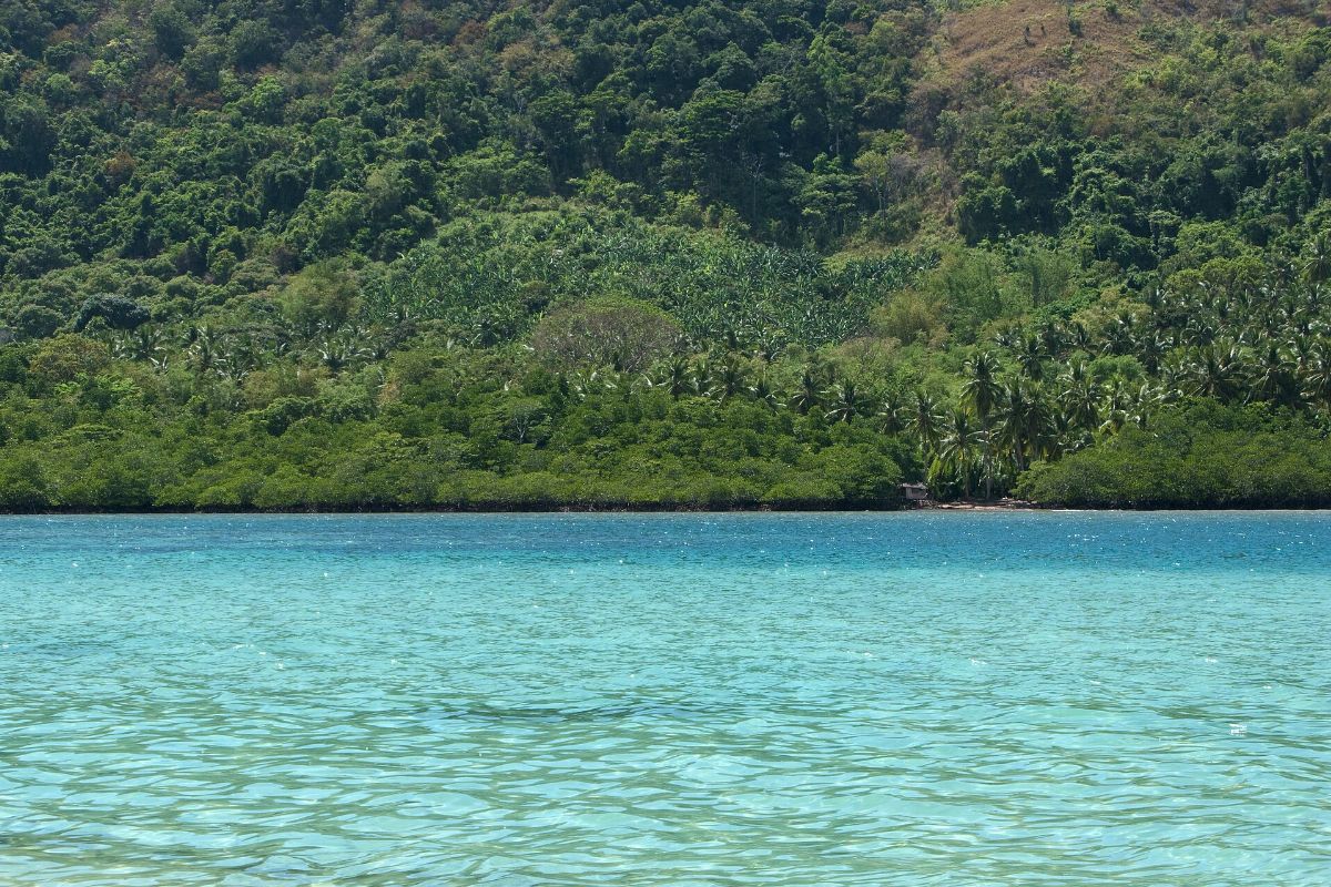 El Nido Bay, Desert tropical island, Coastline, Palawan Island, Philippines