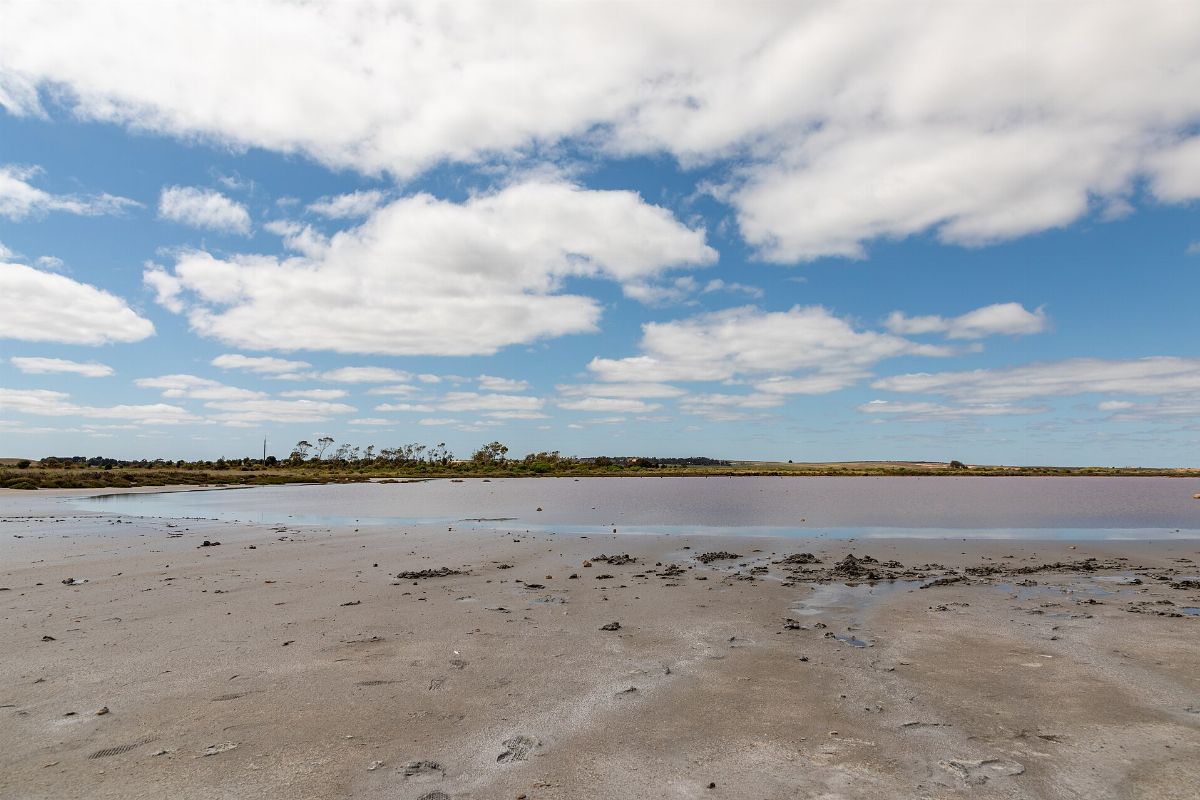 Meningie (AU), Pink Lake -- 2019 -- 0694